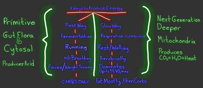 2-ways-to-produce-energy