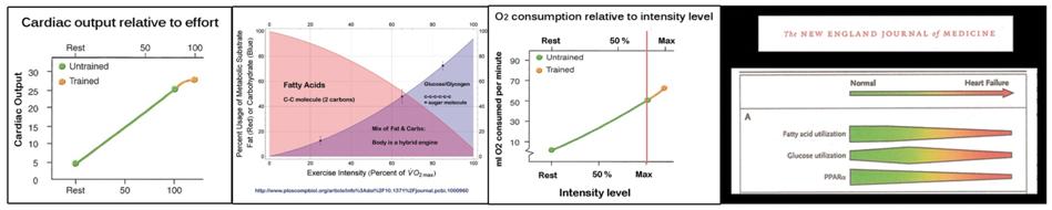 Anti-falsehood-graphs