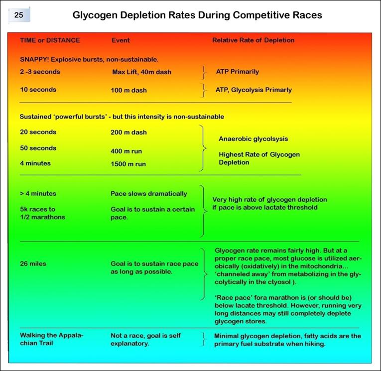 Glycogen-depletion-rates