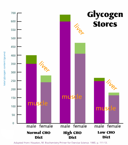 Define Glycogen Supercompensation Diet