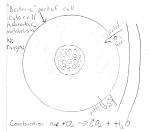 Combustion-in-cell