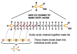Acetic-Acid-Chains