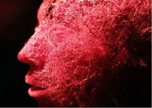 Body worlds face