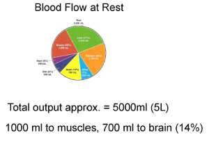 Distribution Blood flow at rest