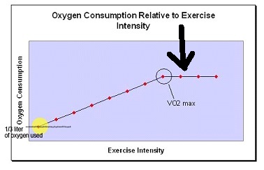 How To Increase Vo2 Max Counterintuitively Thinking