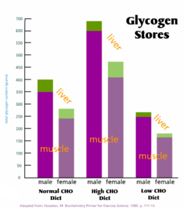 glycogen-stores