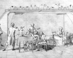 Week 2: Oxygen Powered Metabolism