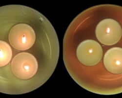 Week 4: Glycolysis Visualized