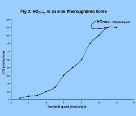 A horse’s VO2 increases as speed increases in likewise fashion to a human’s, then drops slightly after VO2 max is reached.
