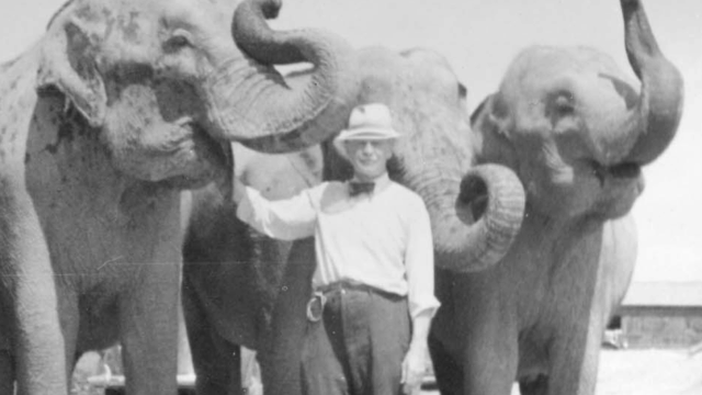 Francis G. Benedict was one of the world's top scientists in the field of nutrition and metabolism. He was a member of the Society of American Magicians and performed professionally from 1938-1942. His investigations included mammals both domestic and wild, ranging in size from the 8-gram dwarf mouse to a 4000 pound elephant. Benedict conducted the original energy balance experiments on humans in 1906, pictured below.