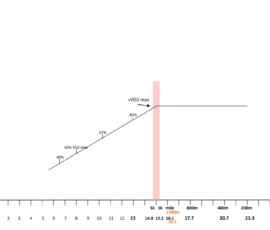 This typical VO2 graph shows oxygen consumption increase as a human’s speed increases. The red line indicates VO2 max occurs just below and just above 15 mph, which corresponds to the actual world record paces in the 3k and 5k races – and these race times are 7:20 and 12:37 respectively. See week 11 graphs. Recall lactate threshold for a fit person is around 2/3 VO2 max and up to 85% VO2 max in an elite marathoner such as Dennis Kimmeto.