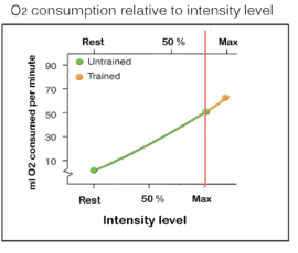 Just as we saw two athletes use the same amount of oxygen at all exercise intensities in the previous slide, we see a sedentary person utilizes the same amount of oxygen as an elite endurance athlete at virtually all intensities. The only time you see a trained human consume more oxygen than an untrained human is at very high intensity levels. Of course, untrained humans can’t maintain running over 55% to 60% of their VO2 max (where they may hit lactate threshold) but nevertheless, they can still run very fast speeds temporarily if strong and young. All it takes to perform a VO2 max test is to run, NOT as fast as possible, but past your lactate threshold, a bit faster and faster within a short time frame until your oxygen utilization maxes out. Thus, despite running at speeds faster than lactate threshold, we see the same VO2 usage in virtually all humans running the same speed.