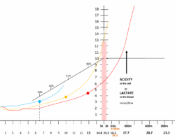 Week 6: Lactate Testing