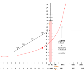 Champion marathoner Dennis Kimmeto runs 26 miles at 15mph around 85% of VO2 max. 5k and 3k champs run just below and above VO2 max, which they sustain for around 7 minutes only. This is the ultimate burn!