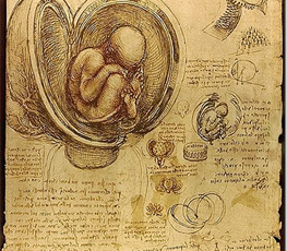 Once you know what aerobic metabolism is at its most fundamental level, you’ll see an embryo ‘breathes’ no differently from its mother or anyone else already born into this world.