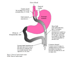 Week 13: Gut & Brain Health Part 2