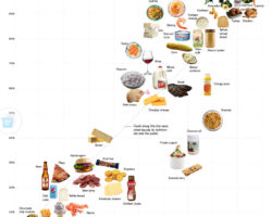 Week 10: Dietary Structure