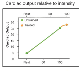 The blood of an untrained human and an endurance athlete leaves the heart saturated with the same amount of oxygen; 20ml O2 dissolved per 100ml blood. Therefore blood volume is practically synonymous with oxygen content delivered in arterial blood. Now since oxygen demand is the same at most any intensity in each person – as we saw in the previous slide – then each person's heart must deliver the same volume of blood over time. This is why a cardiac output resembles an oxygen consumed graph - each are basically the same thing. Recall, cardiac output is the volume of blood delivered over 1-minute, not the volume of blood pumped per beat. The big difference between the two people is the heart rate, where a smaller stroke volume results in a faster heart rate in order to deliver the same amount of blood/O2 in 1 minute.