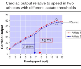 Now we compare two people on the same graph for the first time. This graph shows cardiac output, VO2 consumed at ANY speed, and VO2 max are virtually identical in two athletes with different lactate thresholds. Notice the ‘red line athlete’ hits his lactate threshold running just under 8mph... 1 mph faster than the ‘blue’ athlete. Thus, ‘Red’ is said to run using a greater fraction of his aerobic capacity because he doesn’t shift into ‘crazy glylcolysis’ until running at 70% VO2 max compared to blue line athlete at 60% VO2 max.