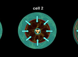 Week 15: Visualize Inflammation