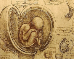 Week 1: Visualize the Aerobic System