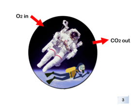 An astronaut and scuba diver are essentially sealed off from air, making it necessary to pipe in O2 and vent CO2 out through a valve.