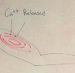 My client and I discussed caffeine, heart, blood pressure. Knowing Ca is the trigger was useful knowledge.