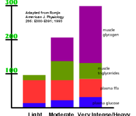 Glycogen depletion in 30 minutes, relative to three specific intensity levels.