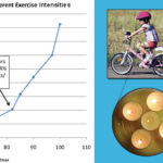 'Using' glucose anaerobically means a cell transforms it into lactate. Thus, a higher rate of glycolysis results in higher rates of lactate production as graphed from resting to high intensity levels. Where does the girl's intensity place her on the graph compared to the sprinters' position?