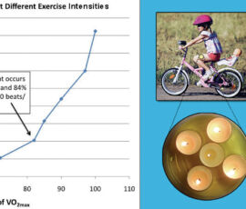 'Using' glucose anaerobically means a cell transforms it into lactate. Thus, a higher rate of glycolysis results in higher rates of lactate production as graphed from resting to high intensity levels. Where does the girl's intensity place her on the graph compared to the sprinters' position?