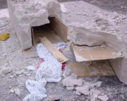 Life in the Cell Begins at the Edge of Death